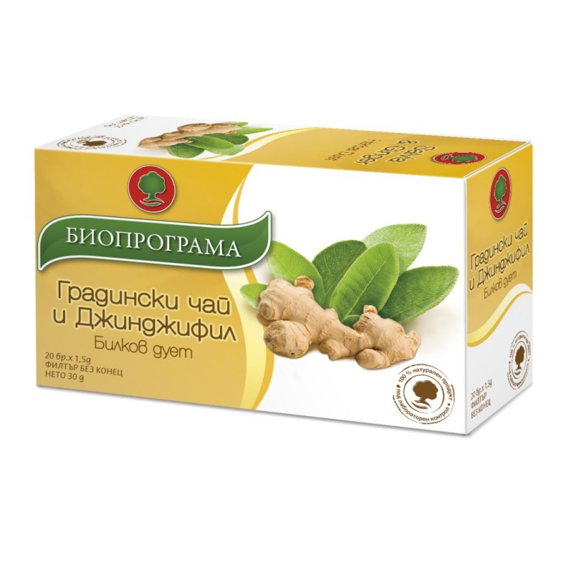 gradinski-chai-i-djindjifil-salvia-ginger-800x800w