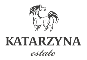 logo_grey-e1668669109649