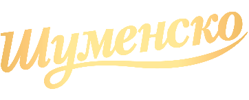 logo_menu