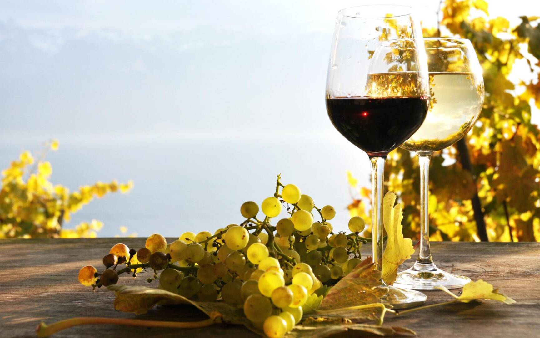 wallpaper-sunrise-and-wine